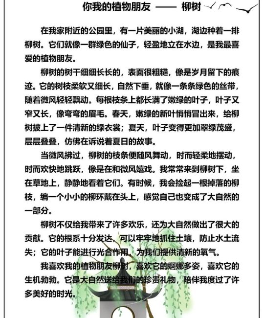 垂柳之喻：他把柳树比作什么？从文学意象到园艺美学