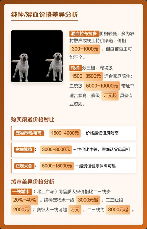 纯种拉布拉多价格多少钱一只?2025年最新行情分析与影响因素 季节:繁殖周期与供需波动