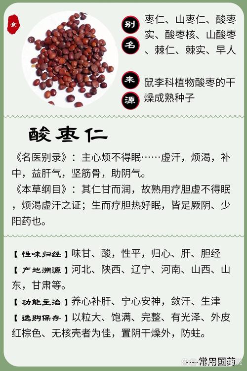 酸枣仁是种子吗?一文读懂它的真实身份与养生价值 二、中药材里的酸枣仁是种子