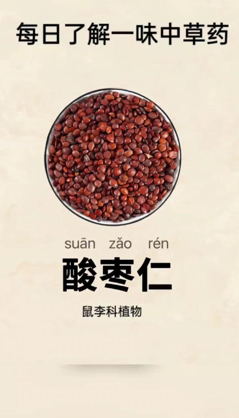 酸枣仁是种子吗?一文读懂它的真实身份与养生价值 五、注意事项