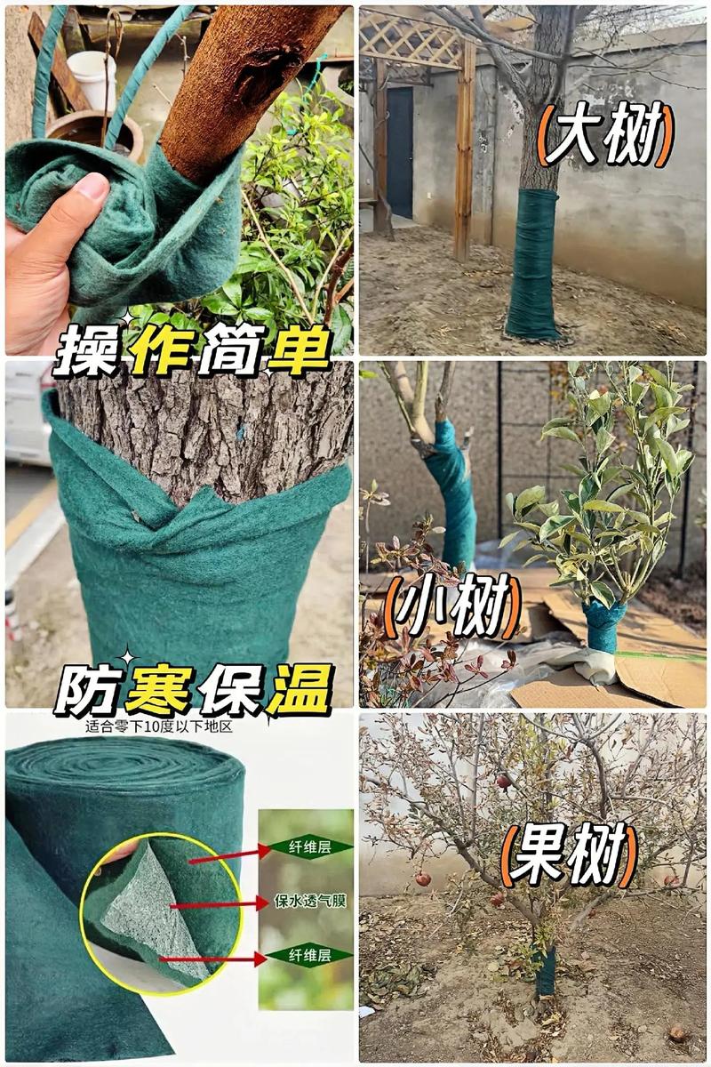 核桃树冬天怎么防冻 核桃树冬天怎么防冻