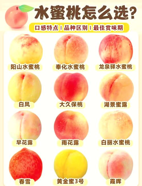桃子在国内有多少种?——从南到北的品种盛宴 六、结语