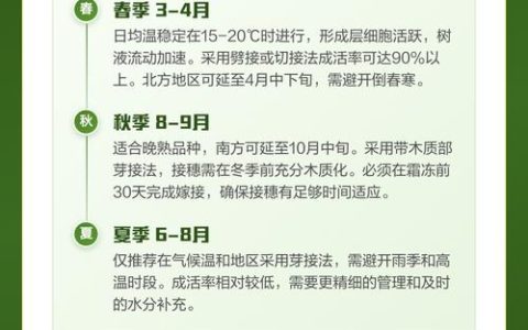 杏树嫁接方法与时间全攻略：芽接与切接的最佳时机