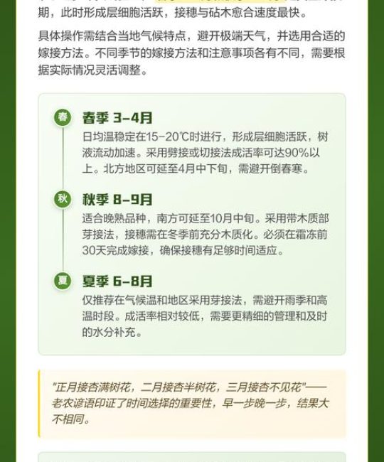 杏树嫁接方法与时间全攻略：芽接与切接的最佳时机