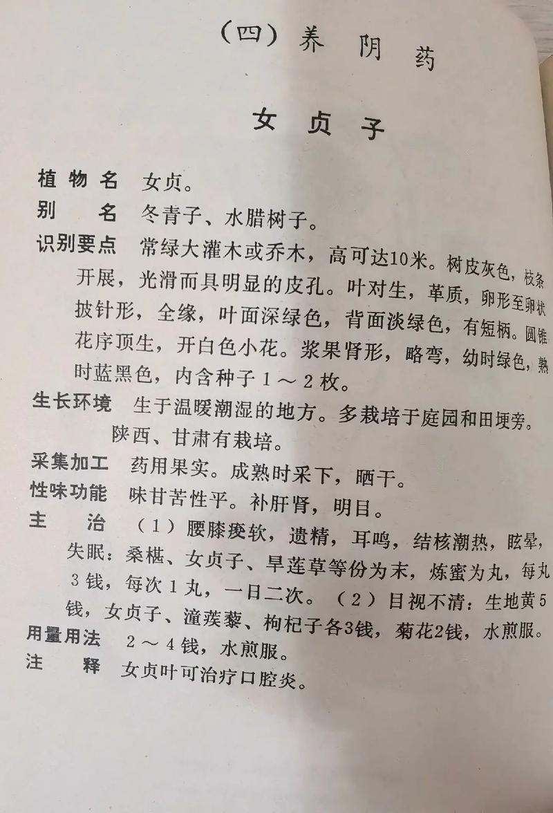 四、价格与市场行情（2026年参考）