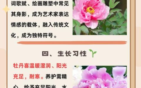 牡丹花之富贵者也：探析这一经典文言句式的植物文化内涵