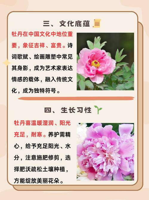名称、别名与科属