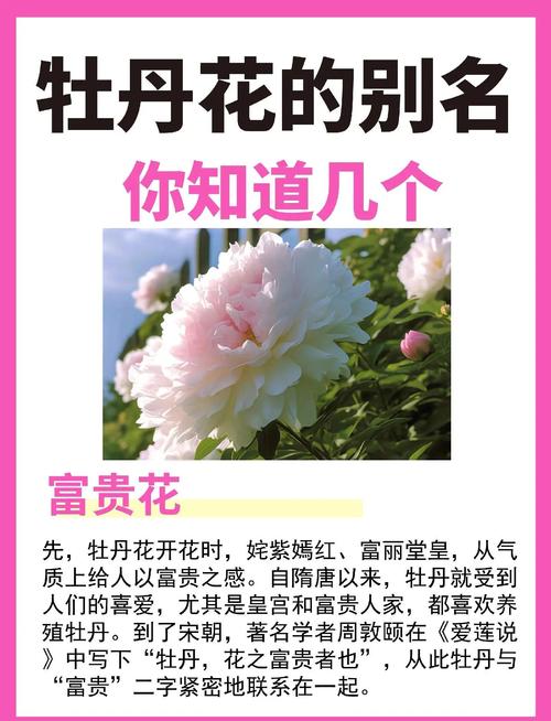 生长习性