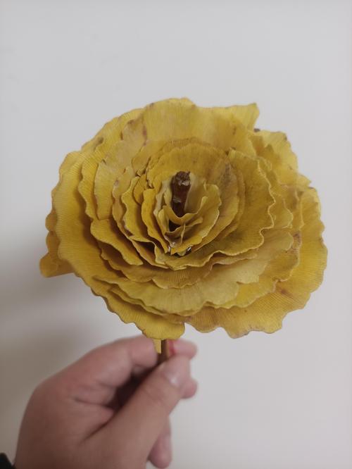 银杏什么季节开花?花期、果期与最佳观赏期全解析 银杏什么季节开花?花期、果期与最佳观赏期全解析