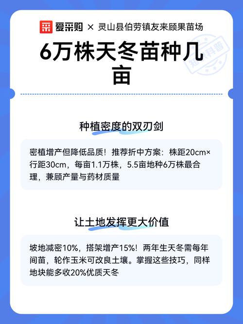 一亩天冬种苗要多少株?栽植密度与株行距推荐计算 采购种苗时如何准确计算所需数量