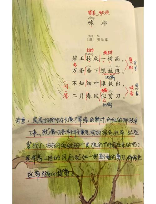 屋前能栽柳树吗?园艺与风水双重视角下的科学解读 园艺角度:柳树的生长习性对房屋的影响