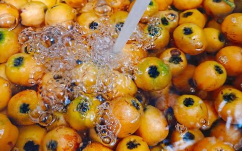 枇杷膏原料揭秘与枇杷树种植技术全攻略