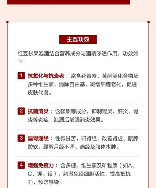 红豆杉果子的功效与作用：有毒⚠️不可食用，药用价值需谨慎