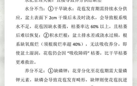 月季花苞打不开怎么办？3招解决夹箭和不开花问题