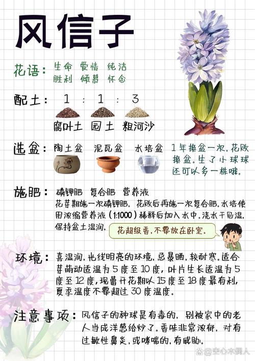 风信子种植全攻略:选对时间与用好方法,让种球年年复花 四、栽植深度