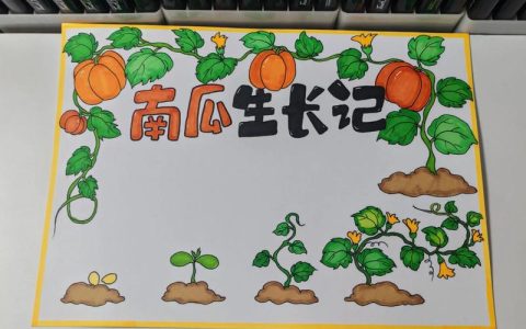 饥荒南瓜种子是什么形状？南瓜植物百科与种植指南