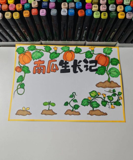 饥荒南瓜种子是什么形状？南瓜植物百科与种植指南