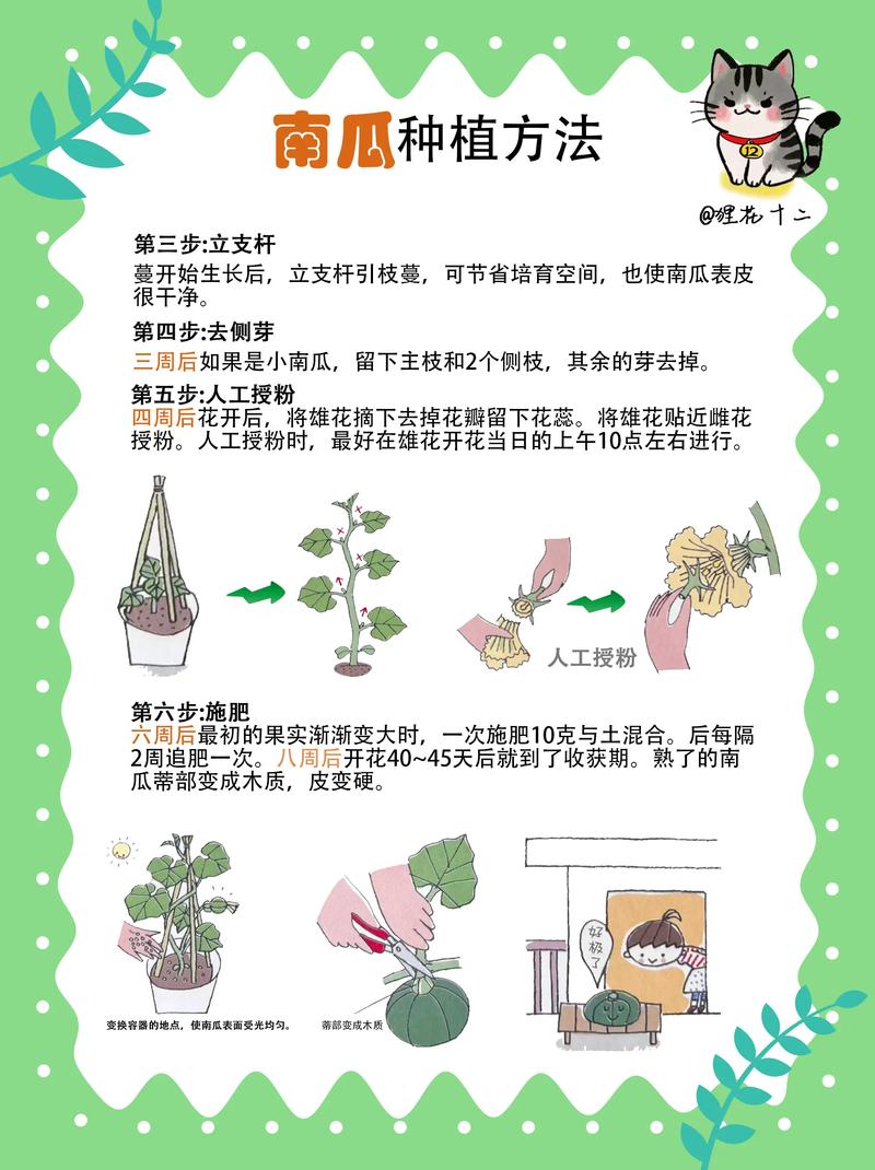饥荒南瓜种子是什么形状?南瓜植物百科与种植指南 生长习性