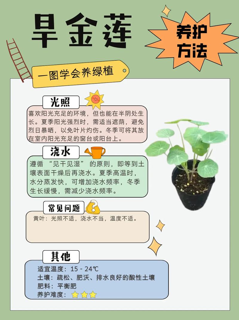 苦草种植时间与全流程操作指南 越冬管理与扩繁控制
