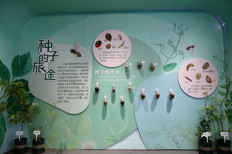 草种子购买渠道评估:一份给采购者的科学核查清单 二、品种真实性核查——不可跳过的一步