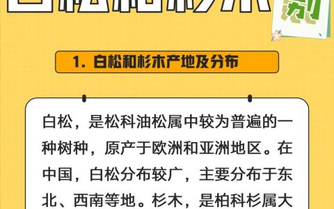 白松和云杉木哪个好？2026年园艺选材与种植6维对比指南