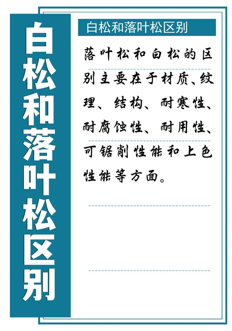 白松和云杉木哪个好?2026年园艺选材与种植6维对比指南 二、关键维度逻辑解释