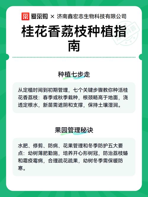 桂花果实种植指南:从采收到成苗的全流程操作 二、土壤环境