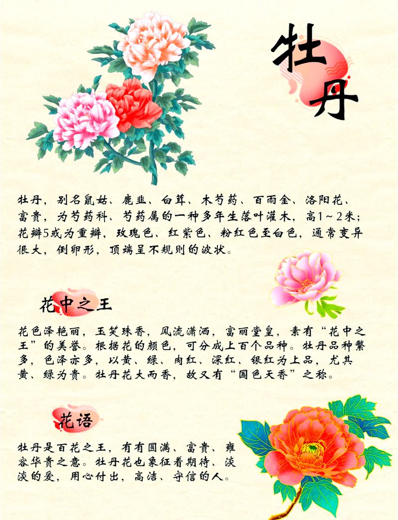 湖南种牡丹花会开花吗?关键在春化!一篇讲透花期与养护 促花养护步骤(可执行方案)