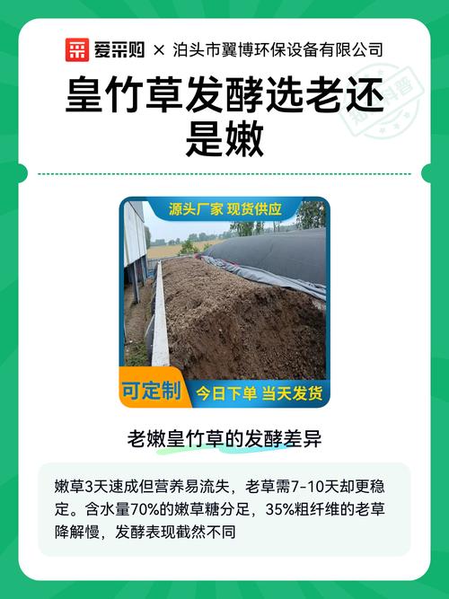 皇竹草什么时候种?最全种植技术指南,成活率提升90%的关键步骤 四、栽植深度与操作