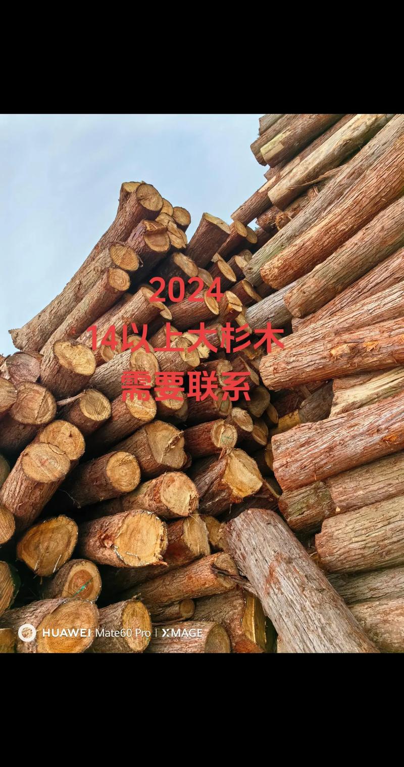 2024年杉木板价格多少钱一方?最新报价指南与影响因素分析 咨询指南:如何获取精准报价?