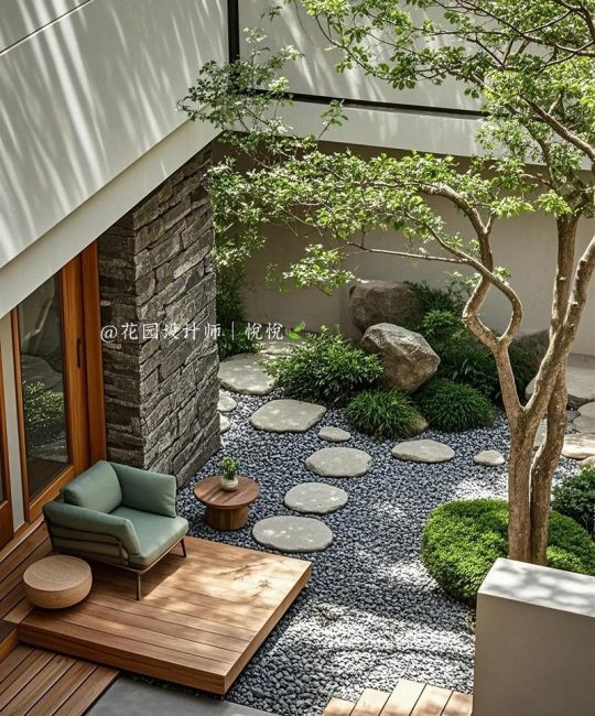 芦苇可以种在院子里吗？科学种植指南与庭院设计全解析
