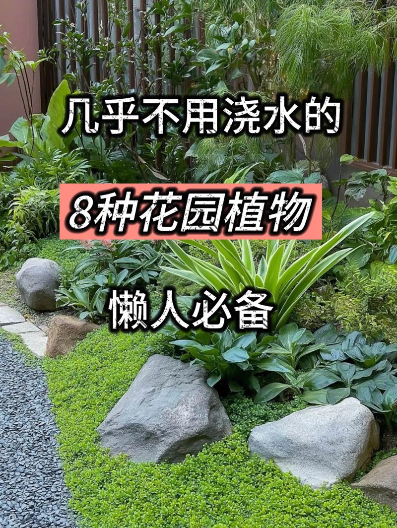 芦苇可以种在院子里吗?科学种植指南与庭院设计全解析 总结:芦苇可以种在院子里吗?