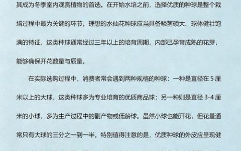 水仙花种植全攻略：从选球到开花的完整操作指南