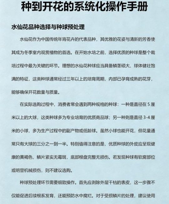 水仙花种植全攻略：从选球到开花的完整操作指南