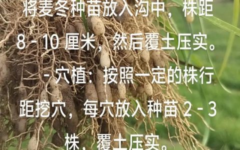北方牧草种植全攻略：耐寒、高产、因地制宜的品种选择指南
