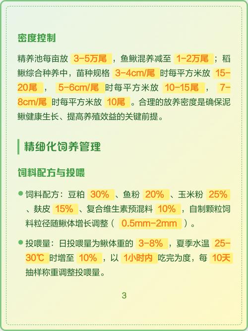 泥鳅苗怎么培养:从孵化到放养的完整技术指南 五、疾病防控与日常管理