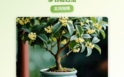 四季桂花树修剪指南：掌握最佳时机，香气更持久
