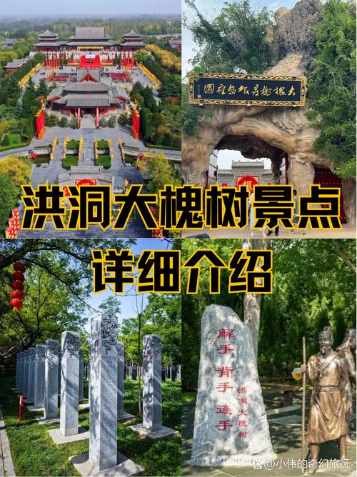 大槐树洪洞在哪里?园林级国槐品种选购与移栽技术全指南 修剪与长期管理