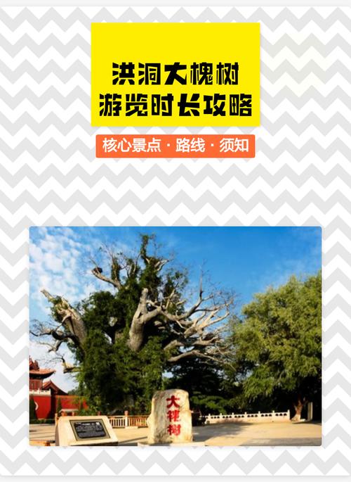 大槐树洪洞在哪里?园林级国槐品种选购与移栽技术全指南 FAQ