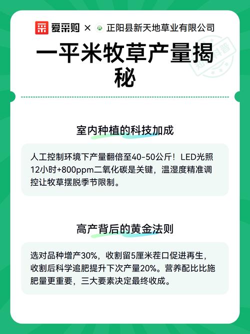 牧草价格多少?以黑麦草为例,2025年市场报价参考与影响因子全解析 价格咨询指南