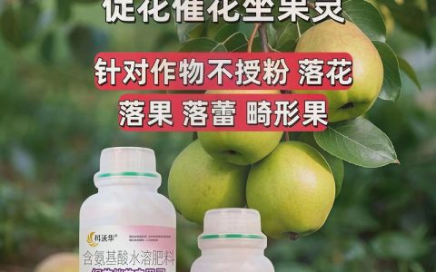 李子树保花保果最佳喷药时间：萌芽前15天与谢花后7天是核心窗口期