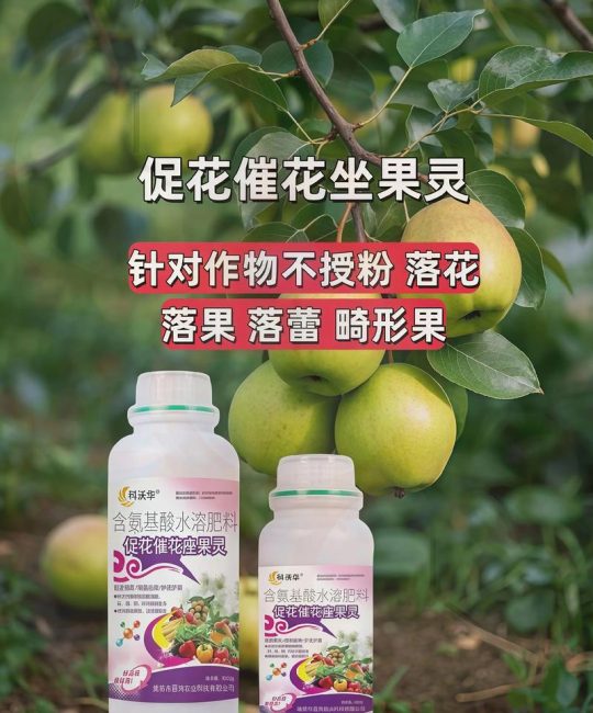 李子树保花保果最佳喷药时间：萌芽前15天与谢花后7天是核心窗口期