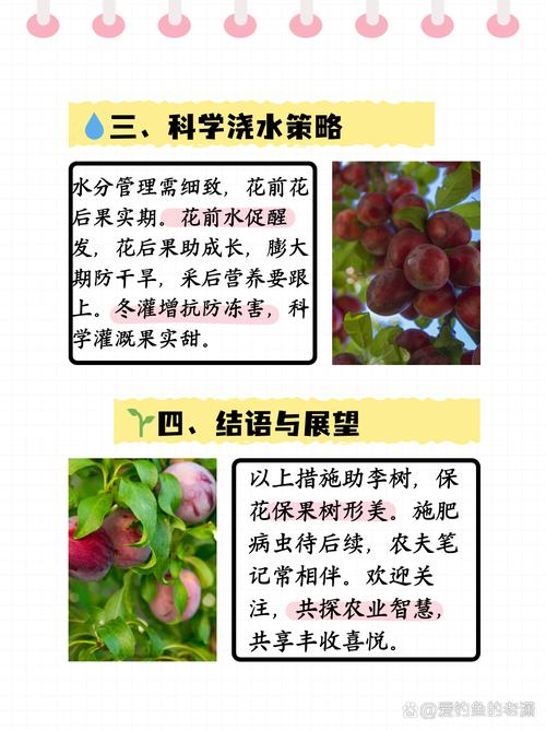 自花结实率低的品种必须配置授粉树