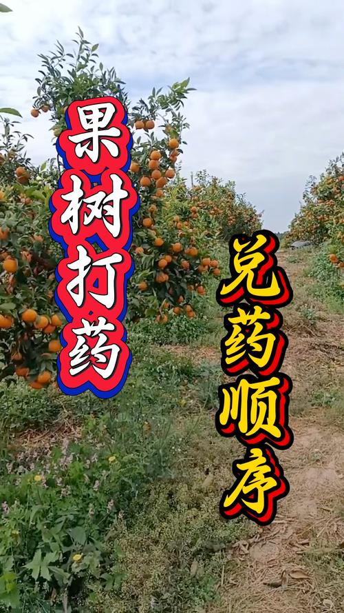 结果年限与经济产出核算（2026年数据）
