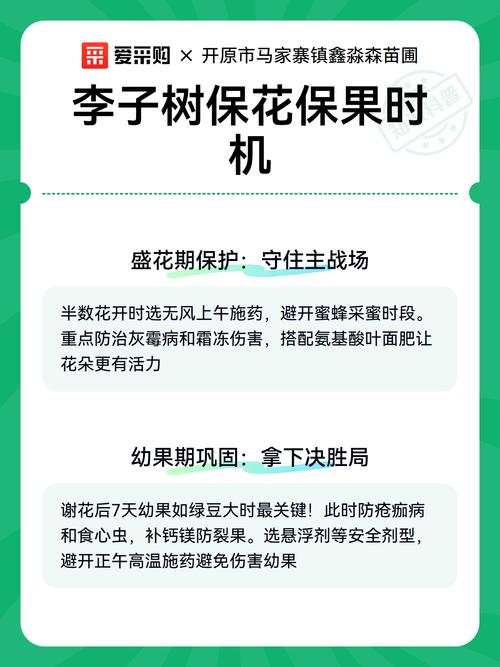 采购时关注嫁接口、根系和苗龄的快速判断标准