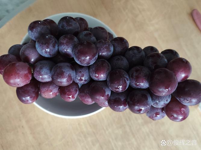 夏黑葡萄价格是多少?规格、产地、季节影响报价 夏黑葡萄价格是多少?规格、产地、季节影响报价