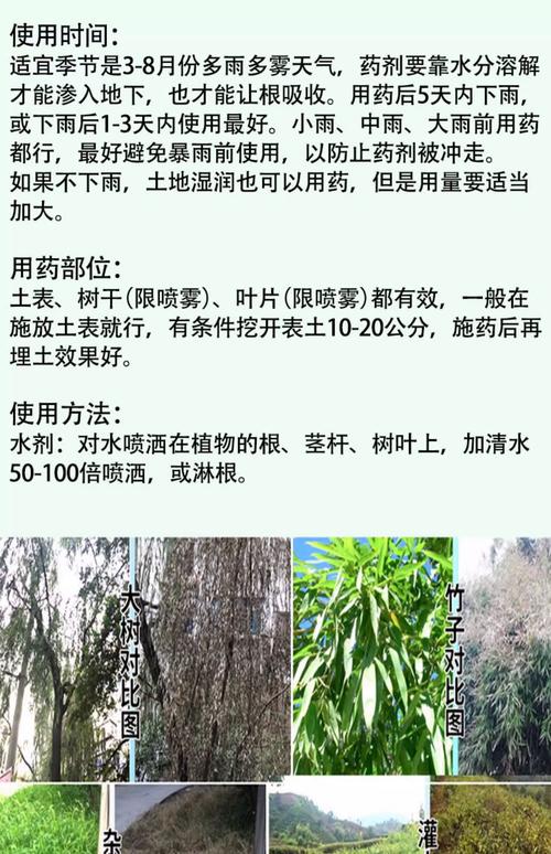 树木根部腐烂怎么办?从诊断到救治的完整指南 处理方法:分三步走