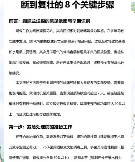 树木根部腐烂怎么办？从诊断到救治的完整指南