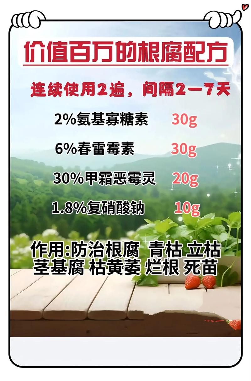 树木根部腐烂怎么办?从诊断到救治的完整指南 预防胜于治疗:日常养护要点