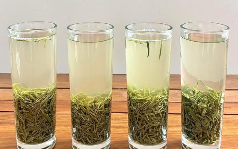 信阳毛尖最贵三个品种深度对比：明前、特珍与云雾茶